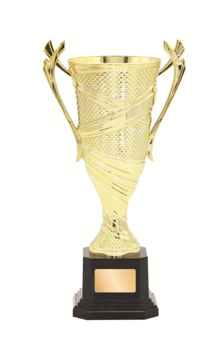PLASTIC CUP TROPHY -  280mm