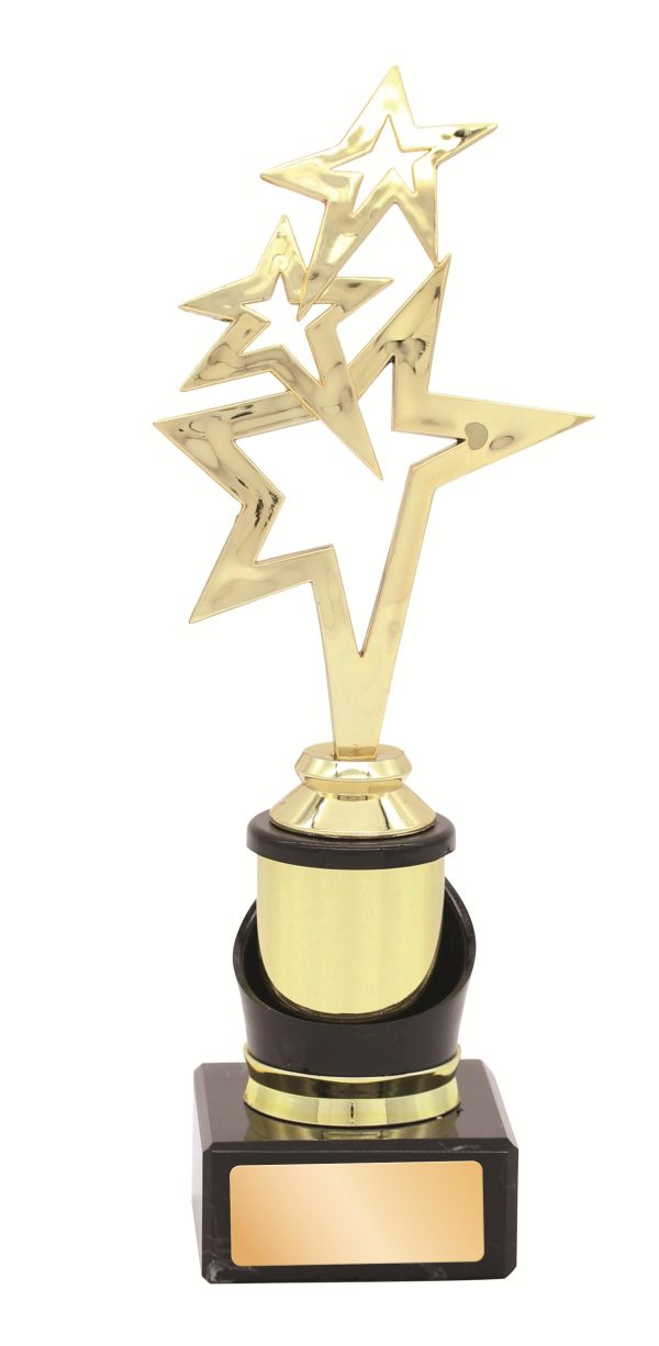 GENERAL TROPHY - 245mm