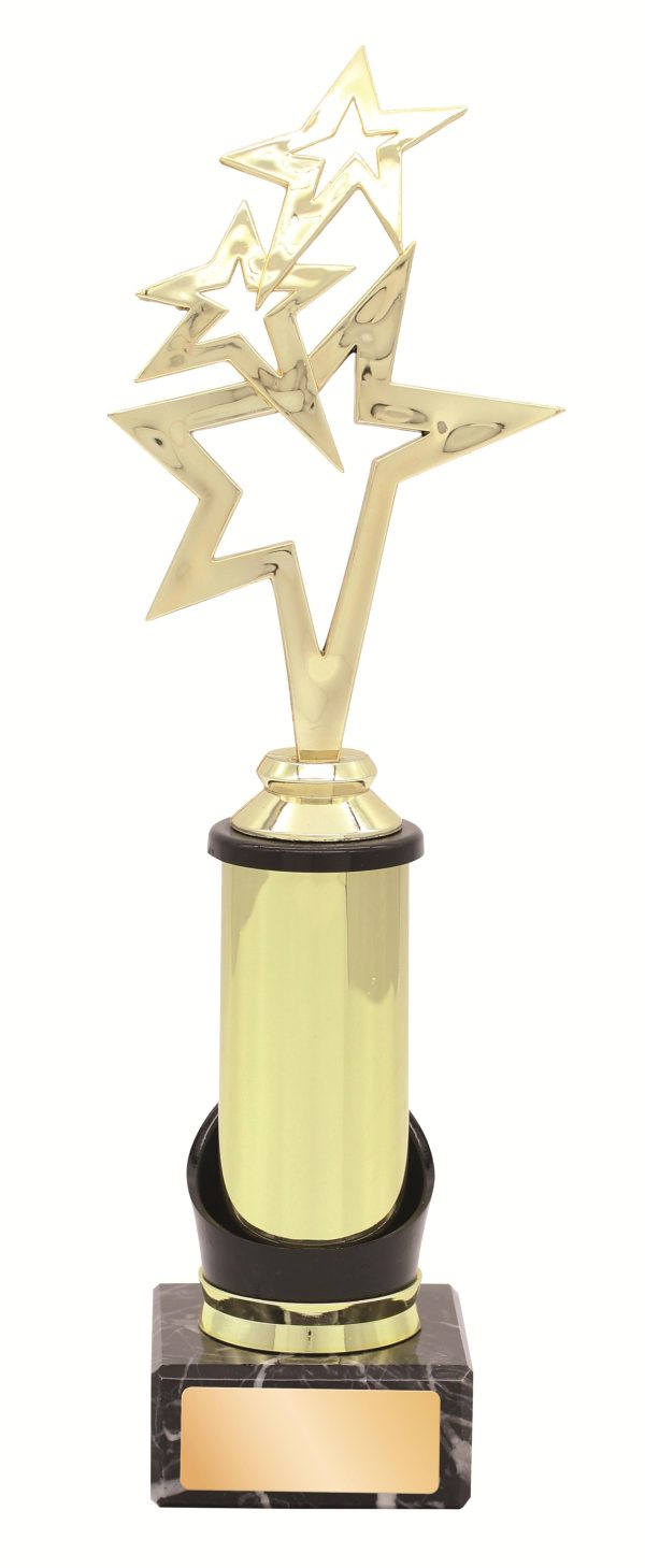 GENERAL TROPHY - 295mm