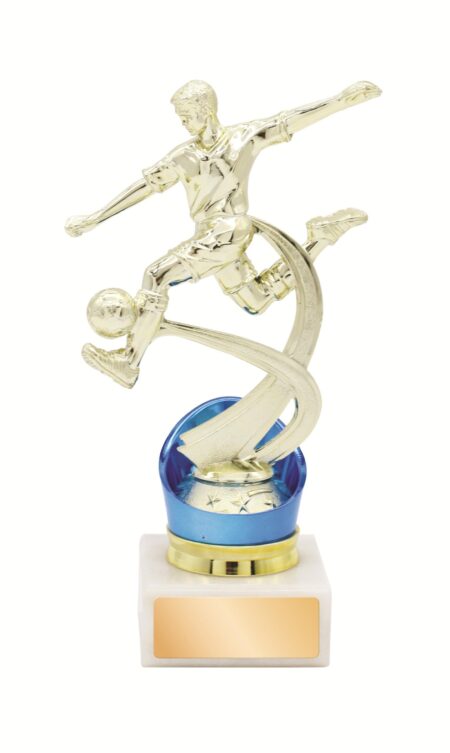 GENERAL AWARDS - 200mm