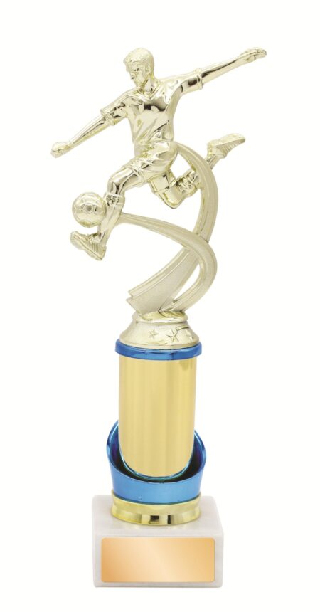 GENERAL AWARDS - 270mm