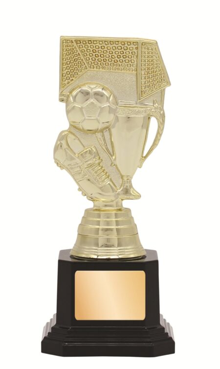 GENERAL AWARDS - 165mm