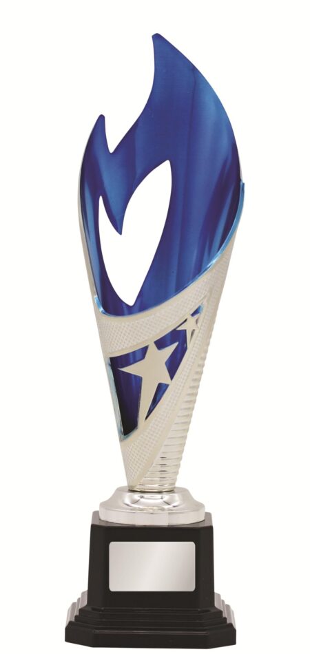 GENERAL AWARDS - 250mm - SILVER/BLUE