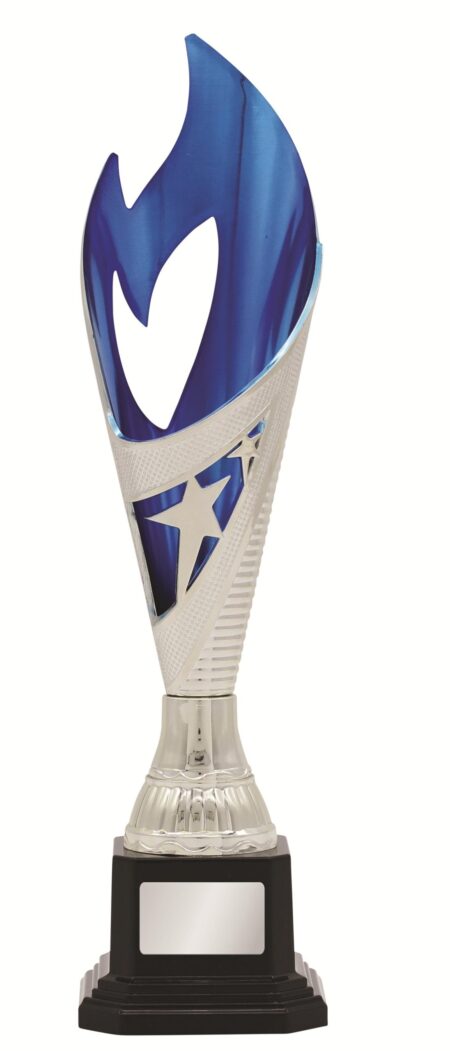 GENERAL AWARDS - 280mm - SILVER/BLUE