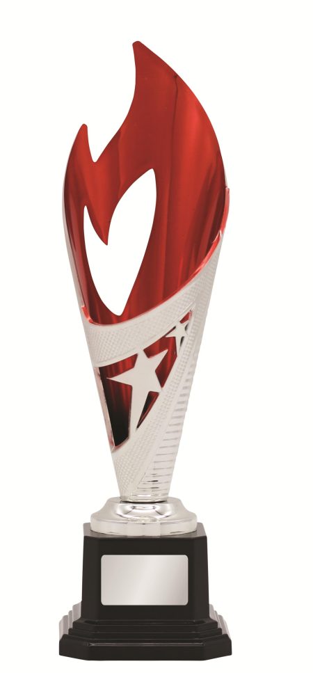 GENERAL AWARDS - 250mm - SILVER/RED