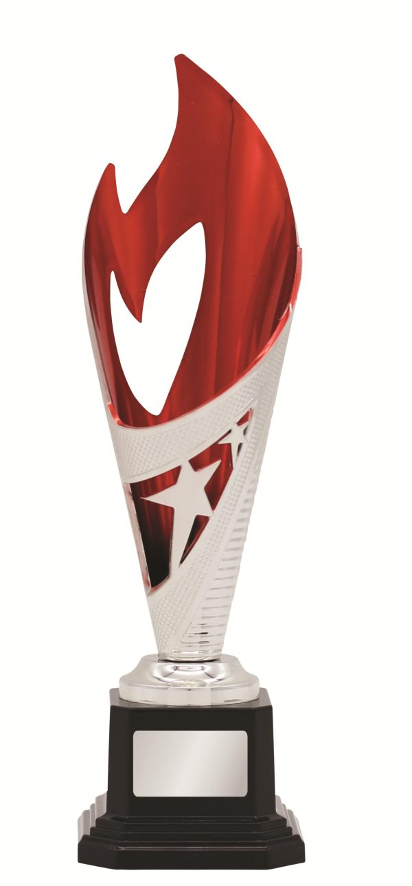 GENERAL AWARDS - 250mm - SILVER/RED