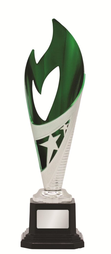 GENERAL AWARDS - 250mm - SILVER/GREEN