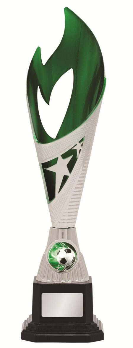 GENERAL AWARDS - 285mm - SILVER/GREEN