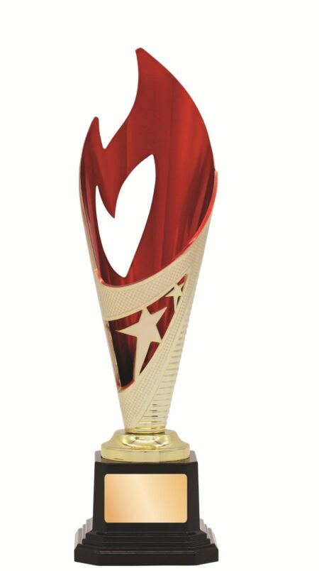 GENERAL AWARDS - 250mm - GOLD/RED