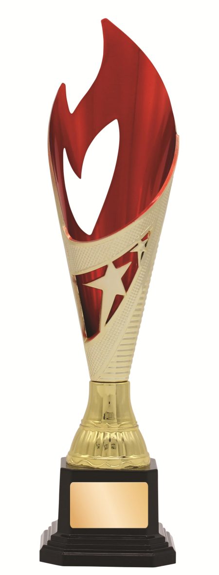 GENERAL AWARDS - 280mm - GOLD/RED