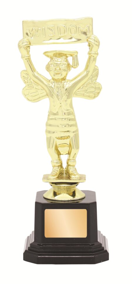 GENERAL AWARDS - 200mm