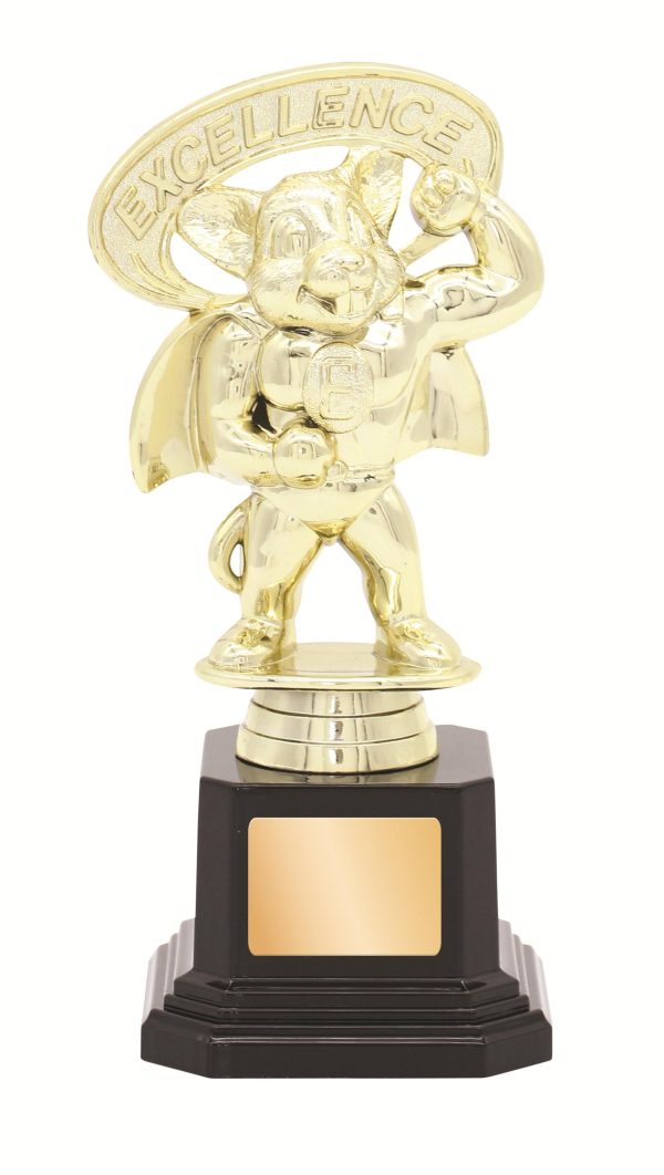GENERAL AWARDS - 165mm