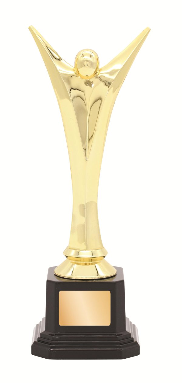 GENERAL AWARDS - 210mm
