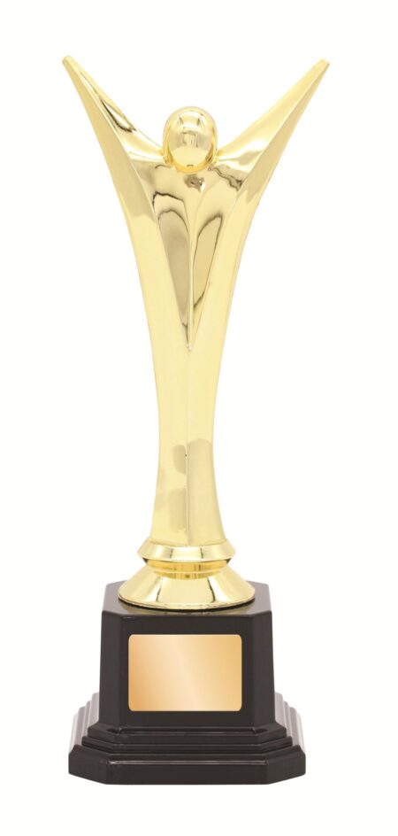 GENERAL AWARDS - 210mm