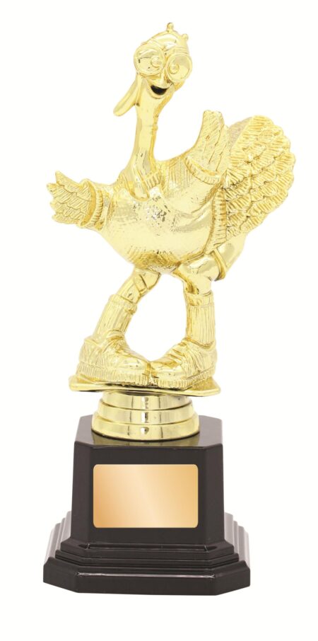 GENERAL AWARDS - 190mm
