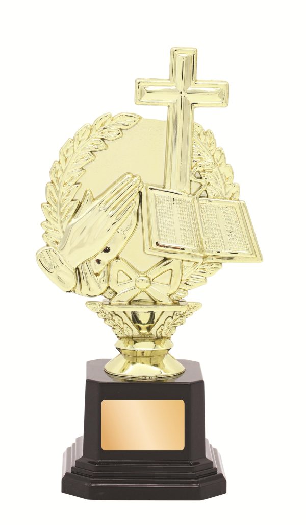 GENERAL AWARDS - 190mm