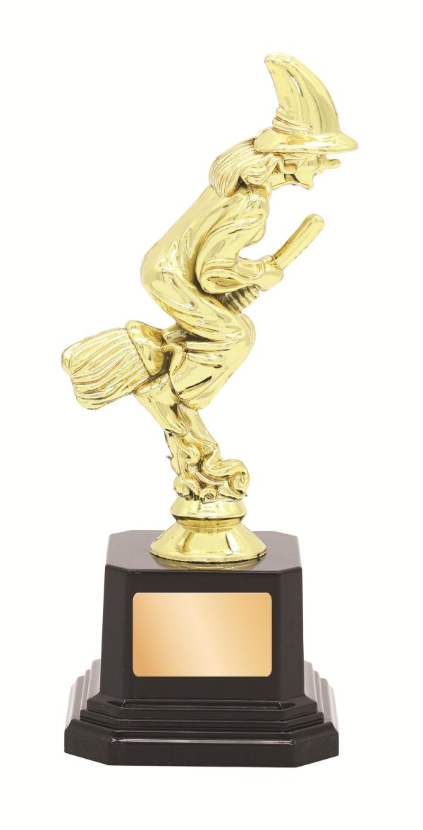GENERAL AWARDS - 180mm