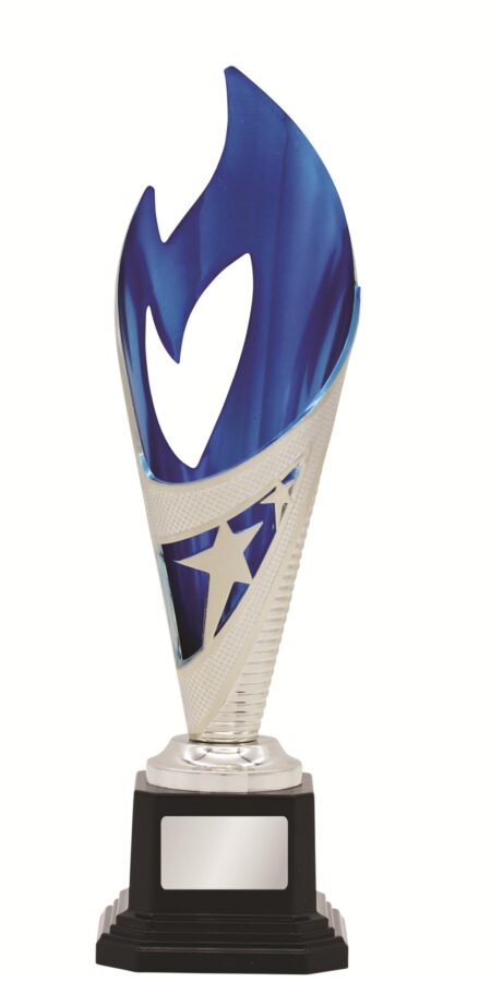 GENERAL AWARDS - 250mm - SILVER/BLUE