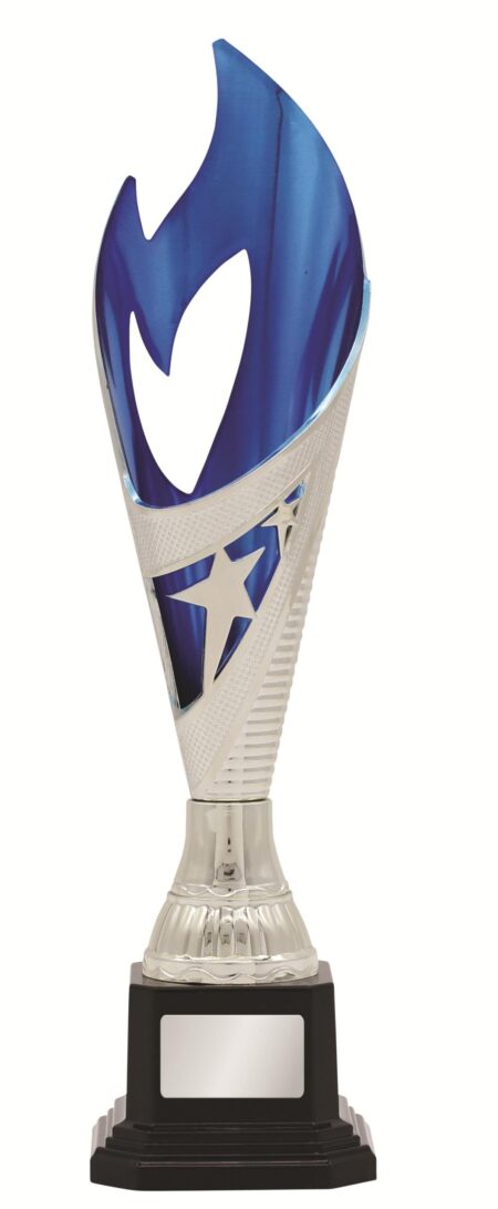 GENERAL AWARDS - 280mm - SILVER/BLUE