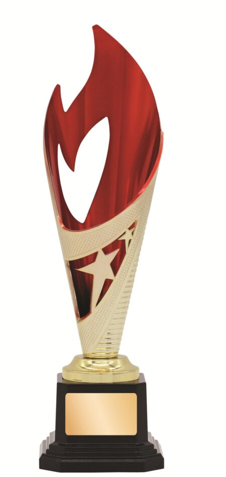 GENERAL AWARDS - 250mm - GOLD/RED