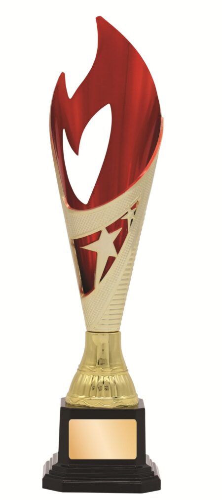 GENERAL AWARDS - 280mm - GOLD/RED