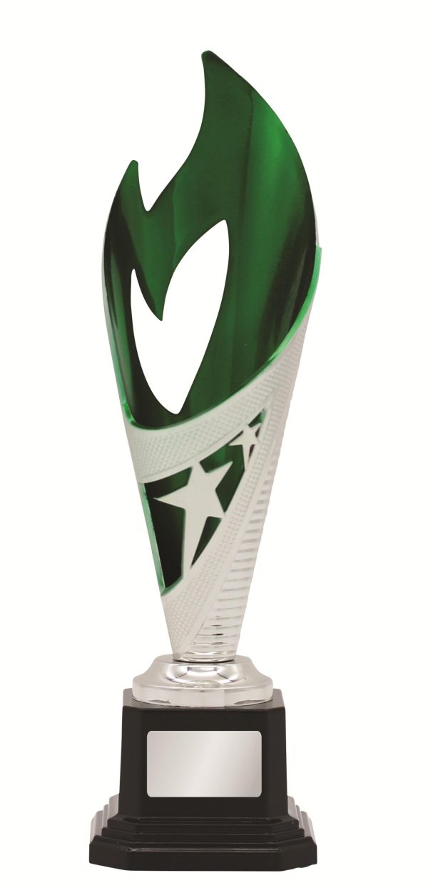 GENERAL AWARDS - 250mm - GREEN/SILVER