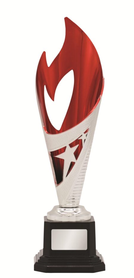 GENERAL AWARDS - 250mm - RED/SILVER