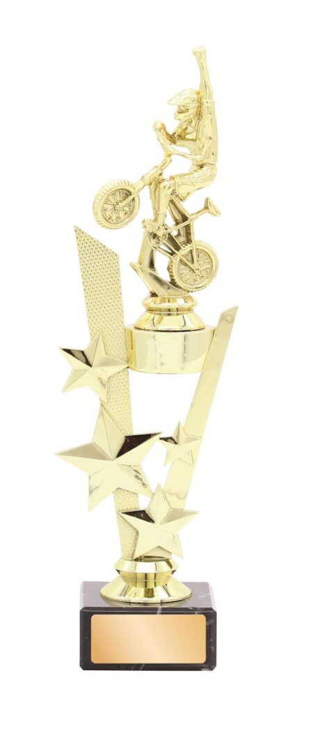 GENERAL AWARDS - 295mm
