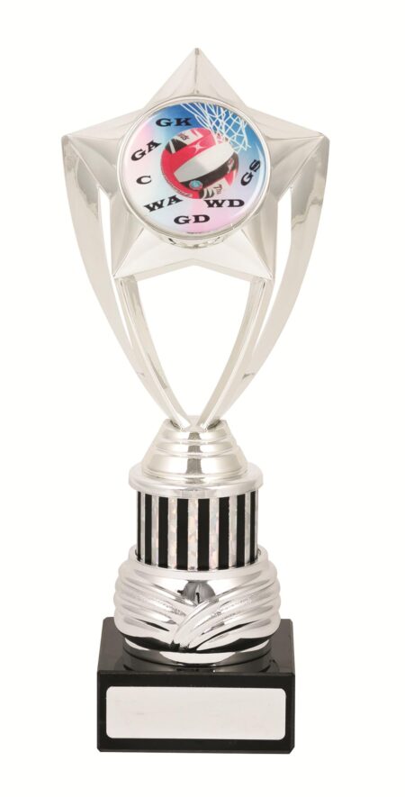 GENERAL AWARDS - 245mm