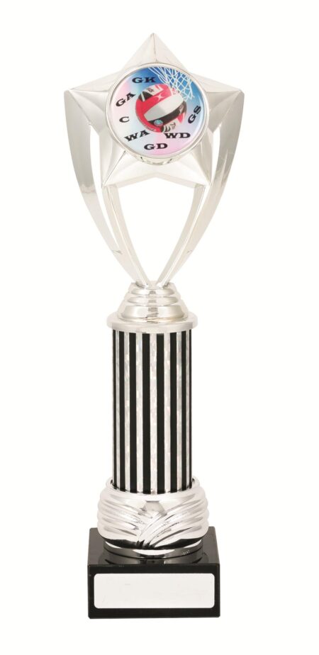 GENERAL AWARDS - 305mm