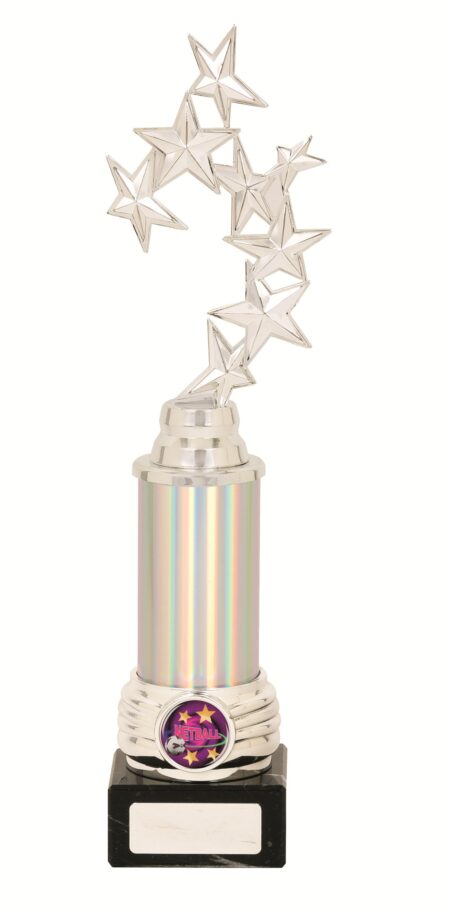 GENERAL AWARDS - 305mm