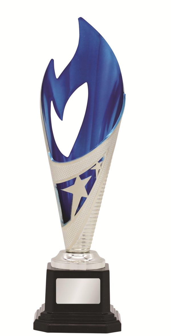GENERAL AWARDS - 250mm - SILVER/BLUE