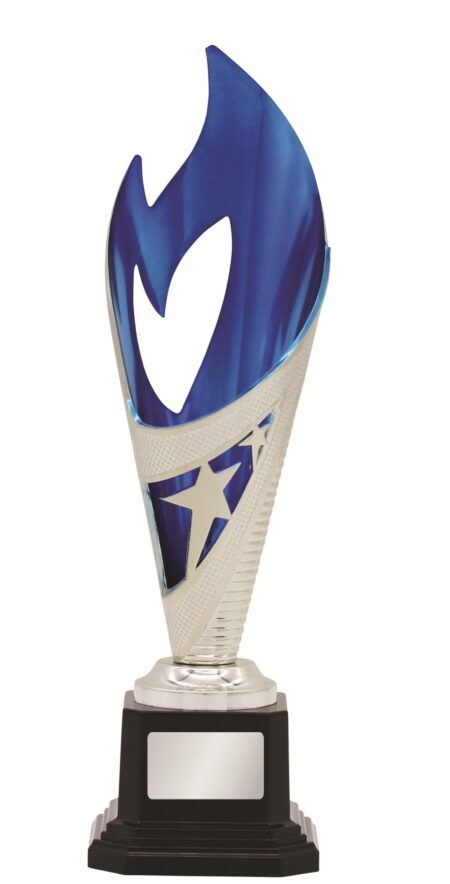 GENERAL AWARDS - 250mm - SILVER/BLUE