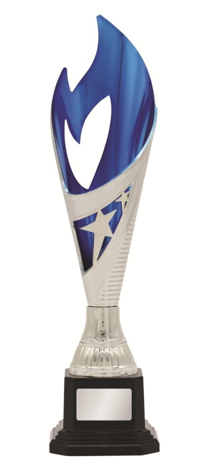 GENERAL AWARDS - 280mm - SILVER/BLUE