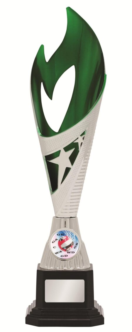 GENERAL AWARDS - 285mm - SILVER/GREEN