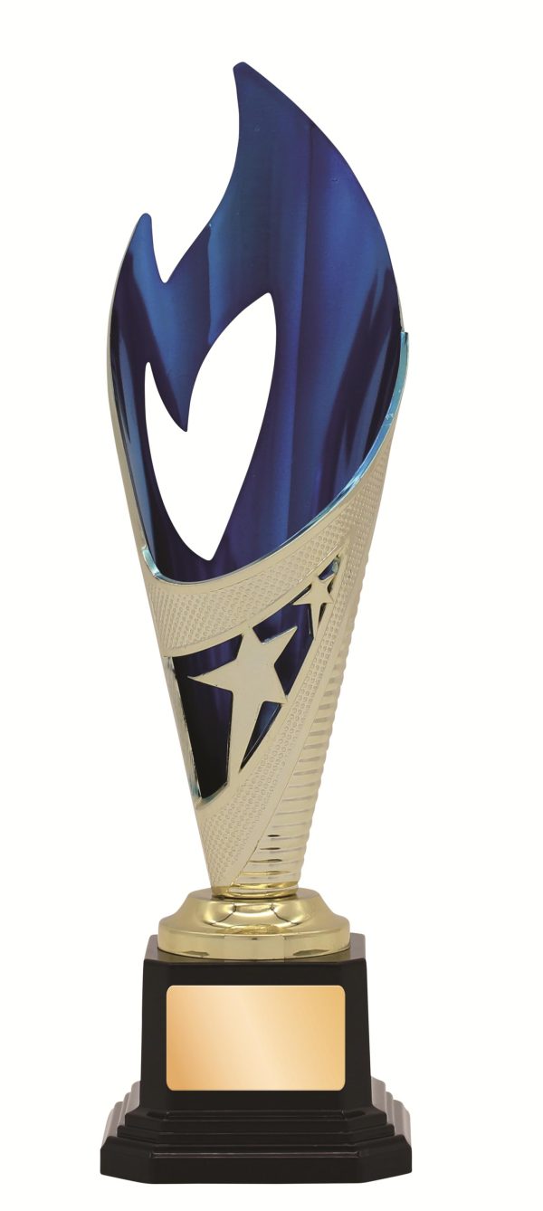GENERAL AWARDS - 250mm - GOLD/BLUE