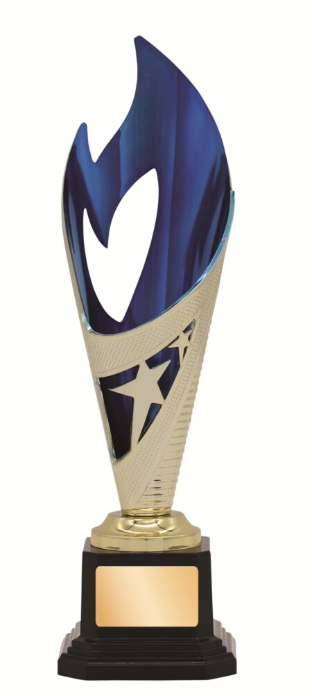 GENERAL AWARDS - 250mm - GOLD/BLUE
