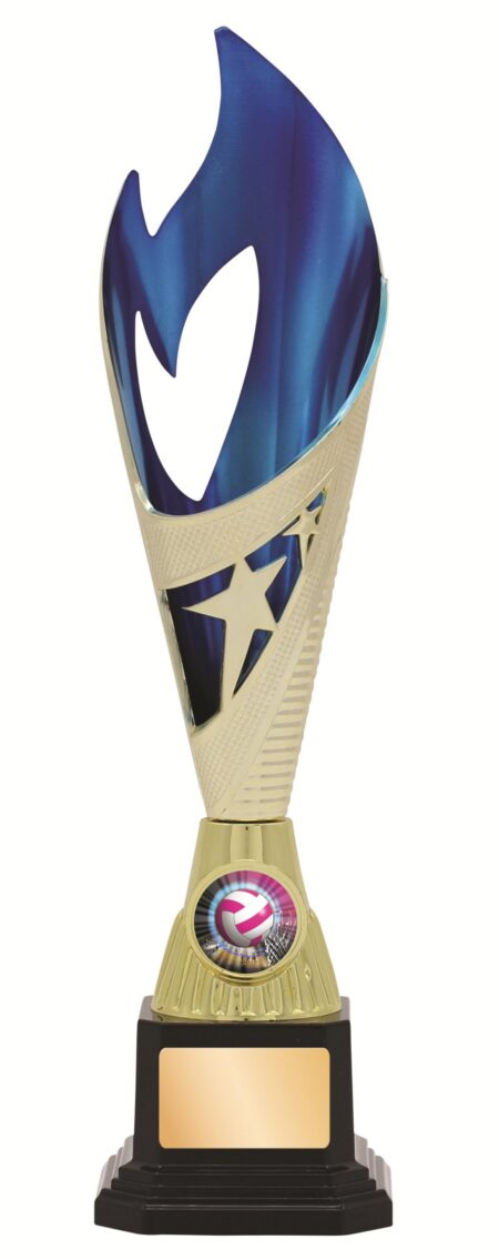 GENERAL AWARDS - 285mm - GOLD/BLUE