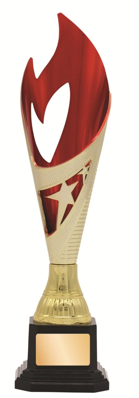GENERAL AWARDS - 280mm - GOLD/RED