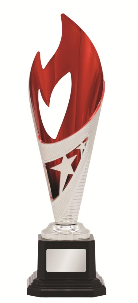 GENERAL AWARDS - 250mm - SILVER/RED