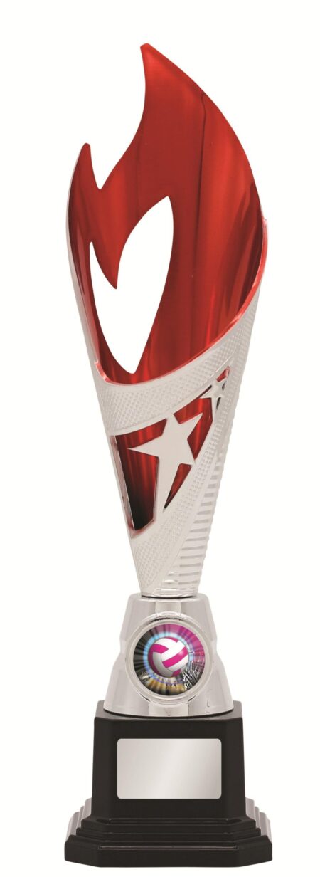 GENERAL AWARDS - 275mm - SILVER/RED