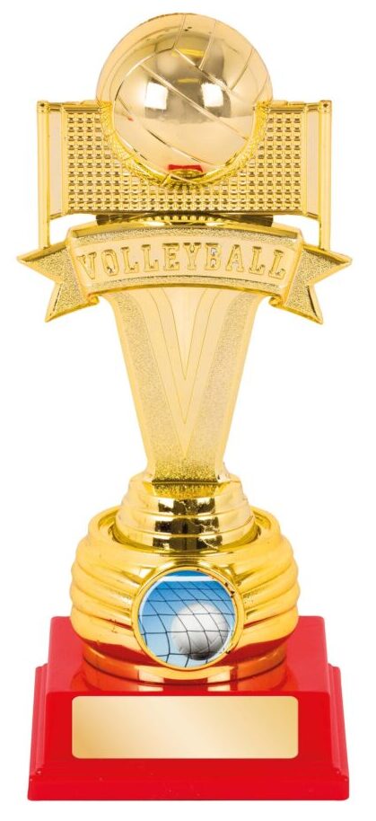 VOLLEYBALL TROPHY