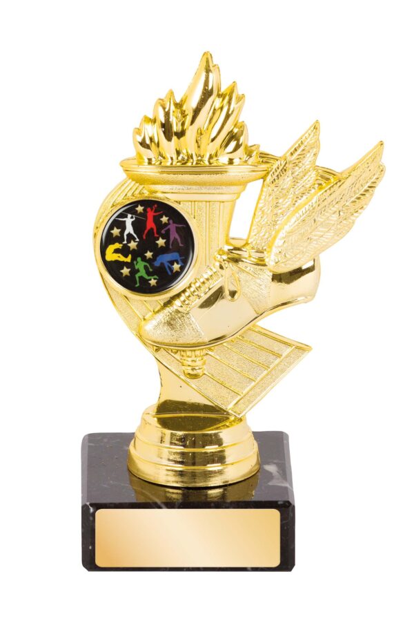 TROPHY - TRACK THEME - 25mm Insert