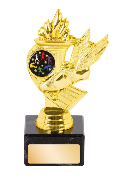 TROPHY - TRACK THEME - 25mm Insert