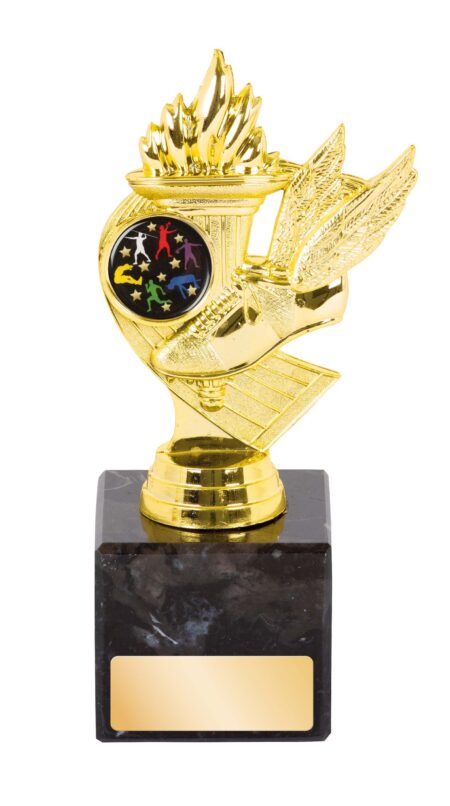 TROPHY - TRACK THEME - 25mm Insert