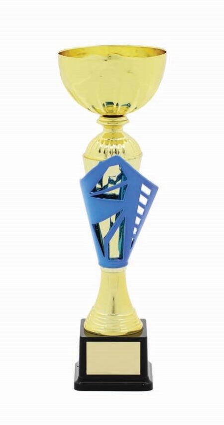METAL BOWL TROPHY