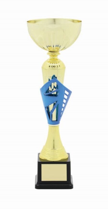 METAL BOWL TROPHY