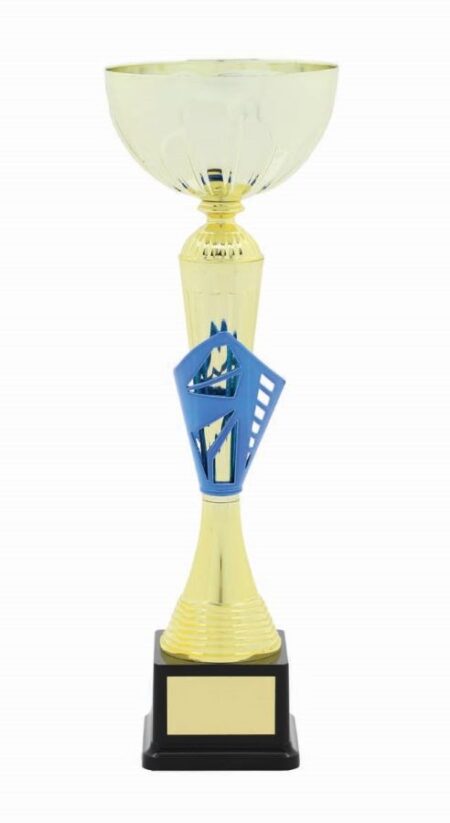 METAL BOWL TROPHY