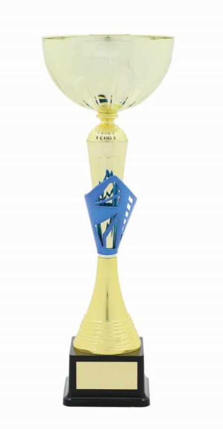 METAL BOWL TROPHY