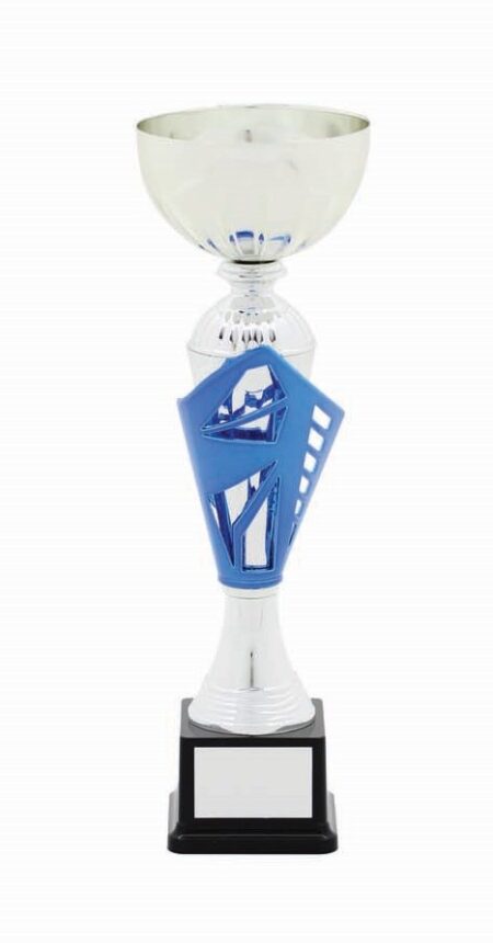 METAL BOWL TROPHY